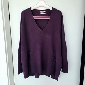 Aritzia Babaton Baylor sweater